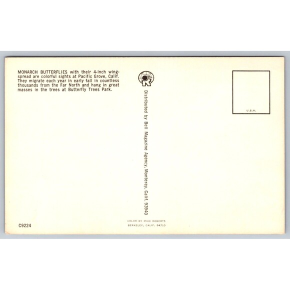 Postcard Monarch Butterflies Pacific Grove California Butterfly Tree Park c1970s - Picture 2 of 2